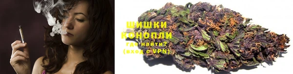 ПСИЛОЦИБИНОВЫЕ ГРИБЫ Алексин