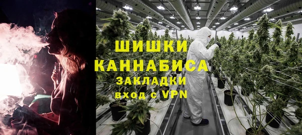 ПСИЛОЦИБИНОВЫЕ ГРИБЫ Алексин