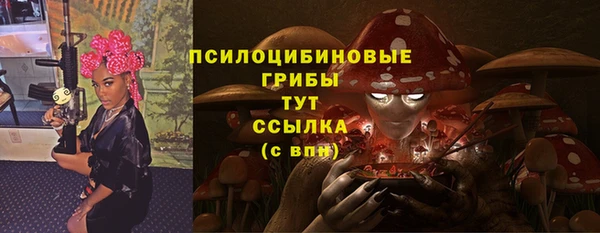 ПСИЛОЦИБИНОВЫЕ ГРИБЫ Алексин