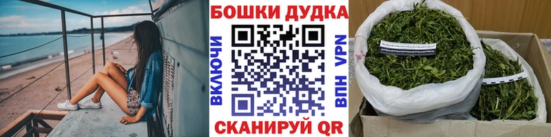 Конопля сатива  Переславль-Залесский 